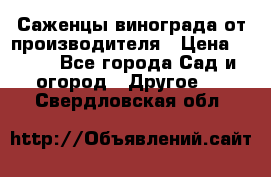Саженцы винограда от производителя › Цена ­ 800 - Все города Сад и огород » Другое   . Свердловская обл.
